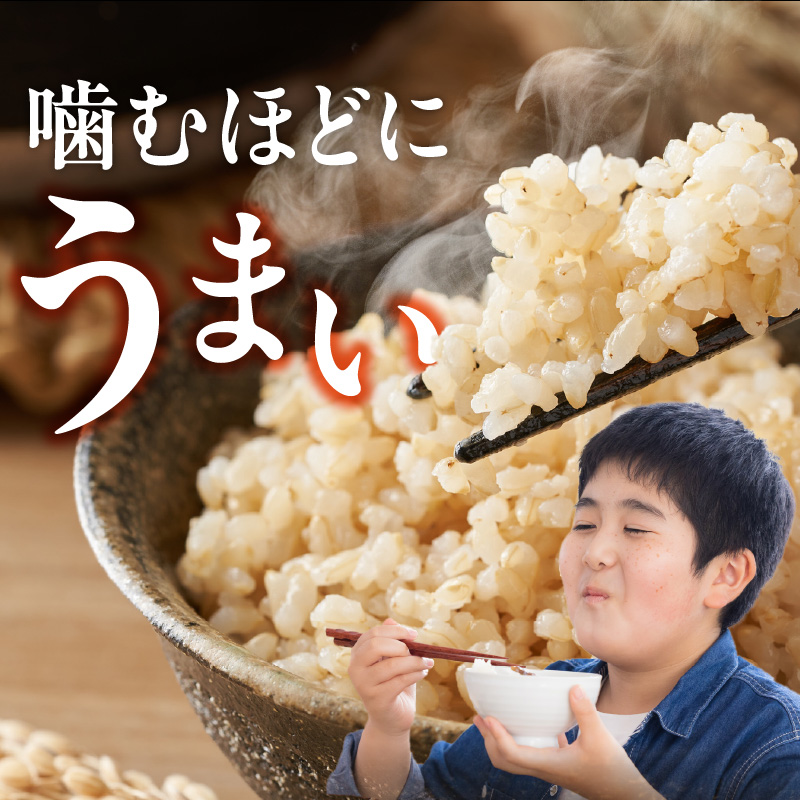 【定期便5回】【令和8年産 新米】福岡県産ブランド米元気つくし 玄米 20kg×5回 _  元気つくし 20kg お届け回数 5回 定期便 福岡県産 ブランド米 新米 福岡生まれ 品種 香り豊か ふっくら 食感 ご飯 おにぎり 弁当 お米 食品 お取り寄せ 九州 久留米市産 福岡県 久留米市 送料無料 _Tk117-05 5回