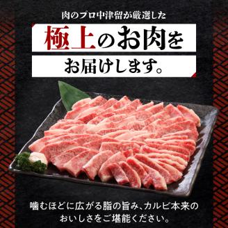 博多和牛 カルビ焼肉800g_博多 和牛 カルビ焼肉 バラ 800g 専門店 プロ厳選 カルビ やわらかい ジューシー コク 旨味 肉 牛肉 国産 お肉 焼肉 アレンジ カルビ丼 チンジャオロース バーベキュー アウトドア キャンプ 新鮮 切りたて 冷凍 お取り寄せ グルメ 福岡県 久留米市 送料無料_Ab010
