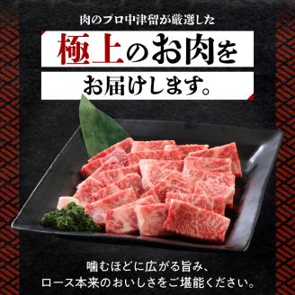 博多和牛 ロース焼肉550g_博多和牛 ロース 焼肉 550g リブロース サーロイン カタロース 赤身 サシ バランス キメ細やか ジューシー バーベキュー おうち焼肉 国産 ブランド牛 九州産 新鮮 切りたて 冷凍 牛肉 肉 牛 国産牛 お取り寄せ お取り寄せグルメ 福岡県 久留米市 送料無料_Ab012