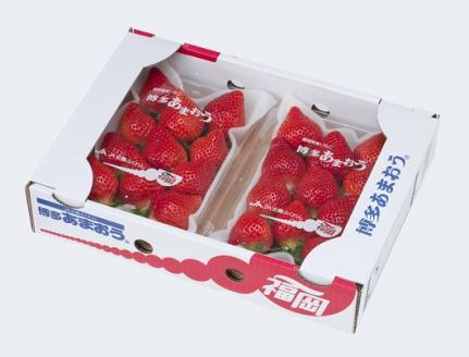 【2026年2月より順次発送】福岡県産あまおう 270g×4パック_福岡県産 あまおう 270ｇ × 4パック いちご いちごの王様 甘い 酸味 バランス 冷蔵 肉厚 大きい うまい おやつ デザート 果物 フルーツ 大人気 九州産 国産 食べ物 お取り寄せ 福岡県 久留米市 送料無料_Fi024