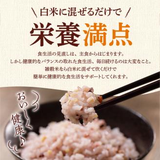 国内産 GABA雑穀米 230g×6個 計1380g_日本雑穀アワード 2年連続 金賞 受賞 GABA 雑穀米 230g 1380g 国産 雑穀 16種 ブレンド 発芽 甘み 栄養 バランス フィチン酸 もち玄米 うるち玄米 もち麦 ハト麦 米 混ぜるだけ 健康 弁当 おにぎり お取り寄せ 送料無料 福岡県 久留米市_Gr011 1回お届け：6個