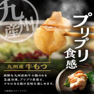 大昌園「特選もつ鍋セット・トリプルだし醤油2～3人前/特製辛味調味料付き」_Cn108