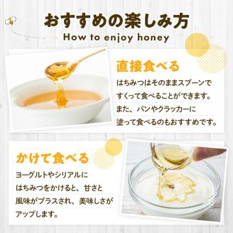 国産はちみつと巣蜜_国産はちみつ 180g × 2個 計 360g 巣蜜 セット 瓶 はちみつ 国産 純粋はちみつ 天然のはちみつ 栄養 豊富 低カロリー トースト ホットケーキ ヨーグルト シリアル パン クラッカー にたばる養蜂場 食品 常温 おすすめ お取り寄せ 福岡県 久留米市 送料無料_Ca028