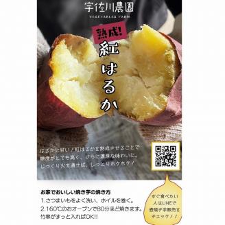 紅はるかさつまいも_さつまいも 紅はるか 国産 5kg 約 200～350g 15本 ～ 18本 甘い 糖度 高い 高糖度 1ヶ月 熟成 濃厚 味わい しっとり ホクホク 常温発送 宇佐川農園 芋 焼き芋 福岡県 久留米市 お取り寄せ お取り寄せグルメ 野菜 送料無料_Gx035