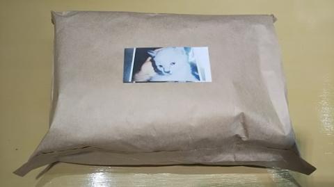 有機原料100％使用 珈琲豆_珈琲豆 400g 焙煎したて 手網 小型焙煎機 丁寧 焙煎 ハンドピック 選別 雑味なし スッキリ 自家焙煎 新鮮 冷凍可 コーヒー くつろぐ リラックス 癒し カフェイン ドリンク コーヒータイム お取り寄せ 福岡県 久留米市 送料無料_Ec007