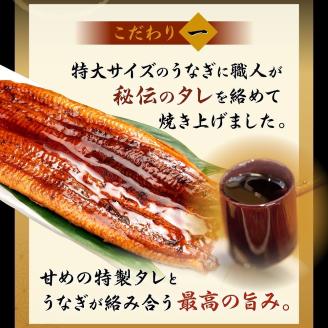 特大うなぎ蒲焼約400g×2尾_特大 うなぎ 蒲焼 無頭 約 400g 2尾 秘伝のタレ グルメ 食品 加工品 魚 魚介類 おかず 惣菜 ご飯のお供 酒の肴 うな丼 ひつまぶし お茶漬け 鰻巻き 冷凍 パック 太輔商事 福岡県 久留米市 お取り寄せ お取り寄せグルメ 送料無料_Cu027
