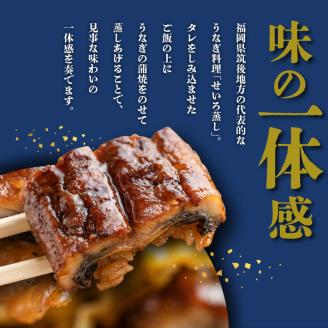 うなぎのせいろ蒸し（2個セット）_期間限定 国産 うなぎ せいろ蒸し 2個 セット 蒲焼 電子レンジ対応 お手軽 レンチン 鰻専門問屋 樋口商店 真空パック 冷凍 お取り寄せ グルメ ギフト 時短 調理済み お土産 手土産 福岡 九州 久留米 筑後 送料無料_Cu101