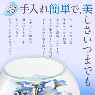 ネモフィラとカスミ草のボトルフラワー（久留米絣敷物付き）_ネモフィラ カスミ草 ボトルフラワー 幅 奥行 120mm 高さ 100mm 久留米絣 敷物 付き ドライフラワー ガラス 容器 青空 ブルー 満開 株 覆うくらいの花 清楚 お手入れ 簡単 人気 インテリア お祝い 記念 ギフト 贈り物 福岡県 久留米市 送料無料_Qb019