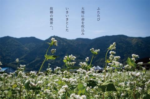 くるめほとめきのそば・くるめかおるほとめきの茶そば_くるめほとめきのそば くるめかおるほとめきの茶そば 各 80g × 2束 × 5袋 計 10袋 食べ比べ 乾麺 福岡県南部 山本町 草野町 そば 石臼挽き つなぎ 小麦粉 こわだり 福岡県産 小麦  茶そば 八女市産 抹茶 化粧箱 ギフト 贈答用 福岡県 久留米市 送料無料_Bu014