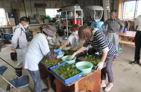 農業体験と宿泊ツアー_農業体験 宿泊ツアー 体験型 体験 子供 大人 親子 農業 一泊二食 お土産付き 農作物 収穫 造園 庭造り 耳納連山 筑後川 里山の魅力 自然 思い出 アクティビティ レジャー 観光 旅行 民宿 民泊 農家暮らし 福岡県 久留米市 送料無料_Rd021