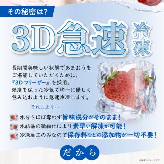 【数量限定】福岡県産あまおう（冷凍1kg）特別栽培_数量限定 急速冷凍 いちご あまおう 1kg 冷凍 3Dフリーザー 長期保存可能 国産 サクサク シャーベット フルーツ デザート フレッシュ 果物 便利 安心 長持ち 無添加 無香料 無加糖 エコファーマー GAP認定 福岡県 久留米市 送料無料_Fi203