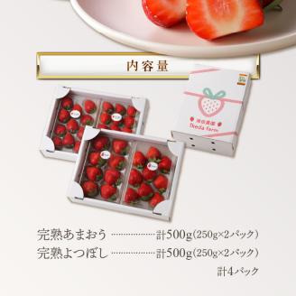 池田農園の完熟あまおう＆完熟よつぼし食べ比べセット_Fi046