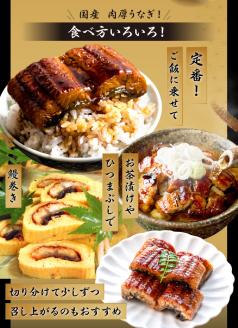 国産 鰻蒲焼200g2尾_ 国産 鰻 蒲焼 200g 2尾 ふっくら 肉厚 鮮度 地下水 ミネラル 秘伝のタレ 四度付け 甘め 特製 タレ 家庭 手軽 本格的な ご飯 お茶漬け ひつまぶし 鰻巻き 真空パック 湯煎 おかず 簡単調理 惣菜 おうちごはん お取り寄せ 福岡県 久留米市 送料無料_Cu031