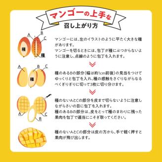 【2026年6月以降お届け】くるめで育った完熟マンゴー （2～3個：約0.9kg～1kg）_先行予約 完熟マンゴー 2個 ～ 3個 0.9kg ～ 1kg 贈答用 久留米産 とろける 甘い フルーツ トロピカルフルーツ 果物 マンゴー 完熟 高糖度 人気 国産 地植栽培 冷蔵 クール便 倉重農園 お取り寄せ お取り寄せフルーツ 食べ物 食品 福岡県 久留米市 送料無料_Fm010