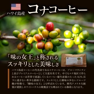 ブルーマウンテン100g＆ハワイコナコーヒー100g 定期便6ヶ月コース 豆コース_Ec108-B