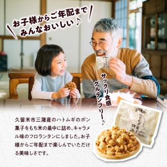 ハト麦フロランタン_ハト麦 フロランタン 9個入り × 2箱 キャラメル風味 グルテンフリー 小分け お茶会 お土産 手土産 洋菓子 フランス菓子 お菓子 おやつ デザート スイーツ 焼き菓子 食品 福岡県 久留米市 お取り寄せ お取り寄せグルメ 送料無料_Dw008