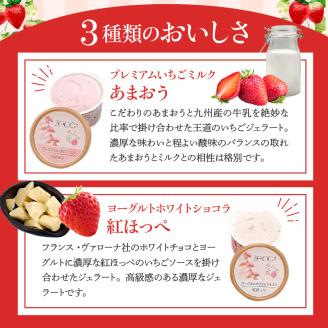 いちごジェラート詰め合わせ(6個入り)_いちご ジェラート 詰め合わせ 100ml 3種類 × 2個 合計 6個 プレミアムいちごミルク ヨーグルトホワイトショコラ 煌めくシャーベット こだわり あまおう 紅ほっぺ かおりの 恋みのり さがほのか アイス デザート お取り寄せ 福岡県 久留米市 送料無料_Dw013