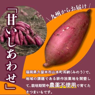 芋ガチャ訳あり 熟成さつまいも3kg_【訳あり】久留米市産 さつまいも 3kg 芋 ガチャ 栽培期間中農薬不使用 熟成 甘い 美味しい おやつ スイーツ バラエティ 紅はるか シルクスイート 国産 常温発送 国産 九州 福岡県 久留米市 お取り寄せ お取り寄せグルメ 送料無料_Gx052
