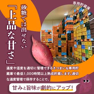 【福岡県久留米市産】熟成さつまいも（紅はるか）5kg ＜定期便－2ヶ月毎に6回お届け＞_Tk011