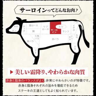 博多和牛 サーロインステーキ180g×5枚_博多和牛 サーロインステーキ 180g × 5枚 計 900g 肉 牛肉 国産 サーロイン 赤身 サシ バランスがいい キメ細やか 美しい とろけるような食感 ジューシー ステーキ 塩 わさび ステーキ丼 オススメ 冷凍 お取り寄せ 福岡県 久留米市 送料無料_Ab004