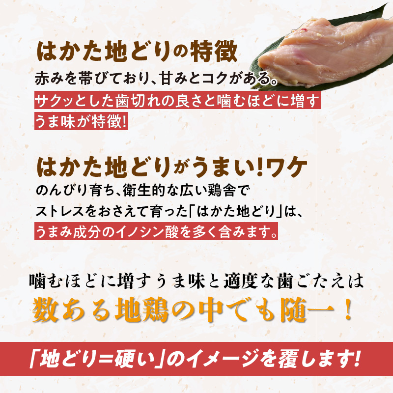 はかた地どり 手羽元カレーギフト_ はかた地どり 手羽元 カレー ギフト レトルト 210g × 5袋 地鶏 旨味 完熟 トマト ガラスープ 煮込む レンチン可 湯煎可能 電子レンジ可能 簡単調理 時短 備蓄 保存食 食品 加工食品 お取り寄せ 福岡県 久留米市 送料無料_Ax104