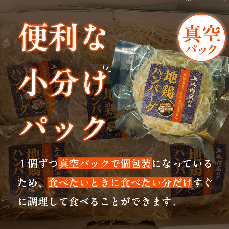 地鶏ハンバーグ_地鶏ハンバーグ_Ax404