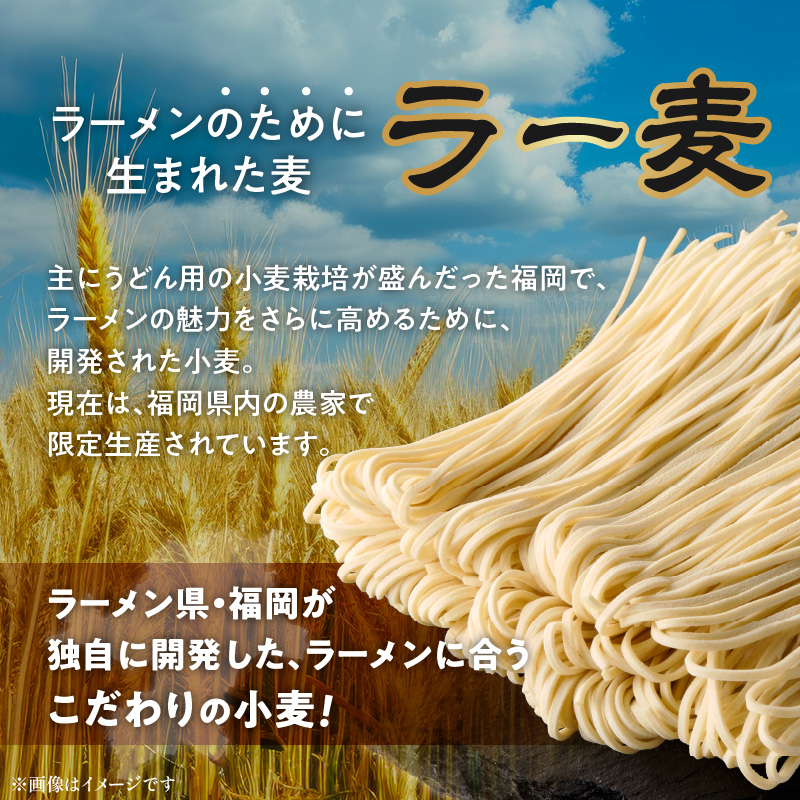 【メール便でお届け】久留米ラーメン5食（生麺）_久留米ラーメン 5食 生麺 90g スープ 38g × 5食 常温 コク 白濁 とんこつ ラーメン とんこつラーメン とんこつスープ 細め 麺 細麺 生細麺 旨い 麺類 食品 食べ物 お土産 お取り寄せ お取り寄せグルメ 福岡県 久留米市 送料無料_Br021