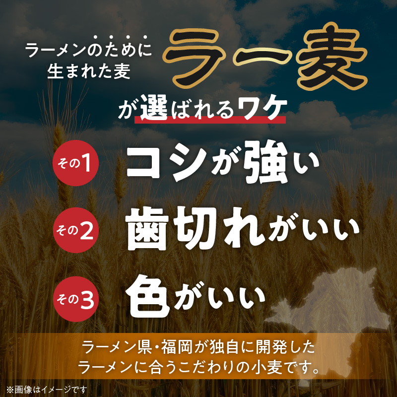 ラー麦麺食べ比べセット5食（久留米豚骨・博多豚骨・味噌・醤油・塩）_ラー麦麺 5種 食べ比べ セット 久留米豚骨 博多豚骨 味噌 醤油 塩 5食 ラーメン スープ 麺 コシ 強い 歯切れ 色 細麺 茹で時間 1分ほど 麺類 お取り寄せ 福岡県 久留米市 送料無料_Br059 5食