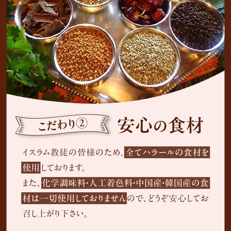 ダルマサーガラ 南インドカレーセットC_カレー 南インドカレー セット インドカレー 2種 各1パック 計 600g レトルト 本場の味 ほうれん草チキンカレー 海老カレー マイルド ダルマサーガラ ハラール認証取得 惣菜 簡単調理 冷凍 お取り寄せ お取り寄せグルメ 福岡県 久留米市 送料無料_Ca038