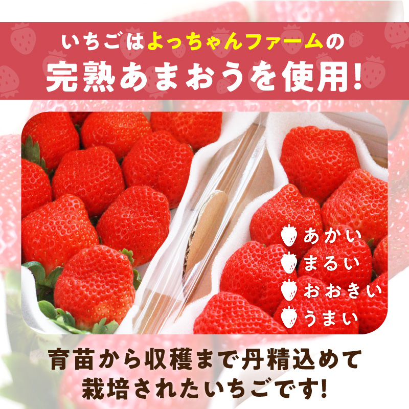 福岡県産【あまおう使用】いちごジャム２個、いちごバター１個_いちごジャム 2個 いちごバター 1個 セット 福岡県産 あまおう 食べ比べ 完熟 ケーキ屋 本格 ジャム パン 塗る ヨーグルト 紅茶 楽しみ方 いろいろ 甘さ 控えめ いちご お取り寄せ 福岡県 久留米市 送料無料_Ca045