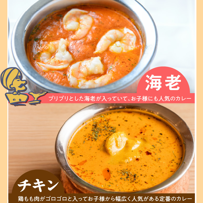 【中辛】ビスヌ 本格カレー　シェフのおすすめ10食_ビスヌ 本格 カレー シェフ おすすめ 10食 バターチキン 豆 海老 チキン 野菜 各 2個 中辛 インドカレー スパイス こだわり インド 直輸入 Aランク できたて 冷凍 真空パック お取り寄せ 福岡県 久留米市 送料無料_Ca047-02 中辛