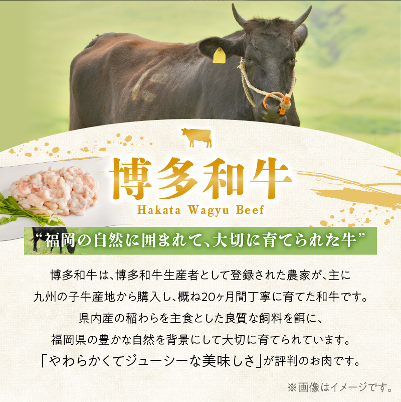 博多もつ鍋セット_博多 もつ鍋 セット 国産 国産牛 博多和牛 和牛 ホルモン 旨味 自家製和風だし ちゃんぽん麺 〆まで 楽しめる スープ にんにく 唐辛子 鍋 ホルモン鍋 ご当地グルメ 冷凍 お取り寄せ 九州 福岡県 久留米市 送料無料_Cn131