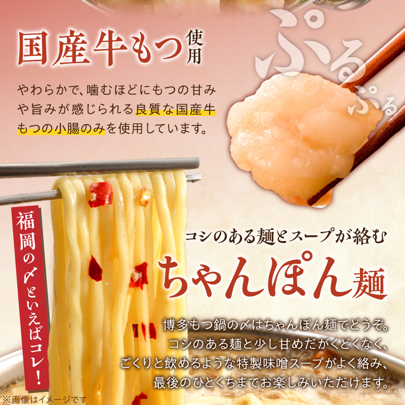 【牛もつ2倍!】博多もつ鍋(味噌味)3人前 _ 博多 もつ鍋 セット 味噌味 3人前 牛もつ 600g 下処理済 味噌スープ 宗像産 大豆 ちゃんぽん麺 にんにく 唐辛子 ヘルシー 鍋 グルメ 郷土料理 海千 お取り寄せ 福岡県 久留米市 送料無料 _Cn138-02 牛もつ2倍