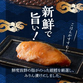 銀ダラみりん 10枚セット_銀だら みりん漬け セット 40g × 10枚 計400g 小分け 切り身 鮮度抜群 新鮮 美味しい 魚 焼き魚 おかず ごはんのお供 お弁当 おつまみ 酒の肴 漬け魚 冷凍 お取り寄せ お取り寄せグルメ 福岡県 久留米市 送料無料_Cs322