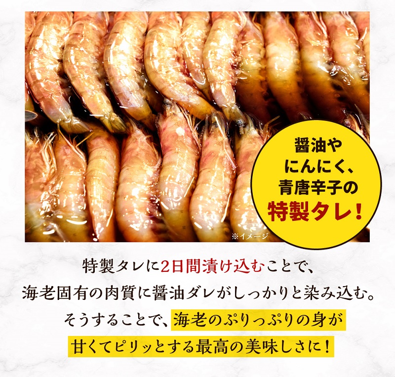 赤海老カンジャンセウ_カンジャンセウ 約 1kg 海老 韓国料理 カンジャンセウ丼 天然赤海老 特製 醤油ダレ漬け 本場 韓国 海産物 海鮮料理 惣菜 おつまみ ご飯のお供 おかず 食品 冷凍 お取り寄せ お取り寄せグルメ 福岡県 久留米市 送料無料_Cs324