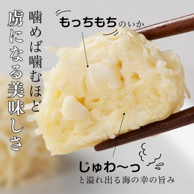 しゅうまいギフトセット 6袋入（いかしゅうまい 6袋） いか 6袋