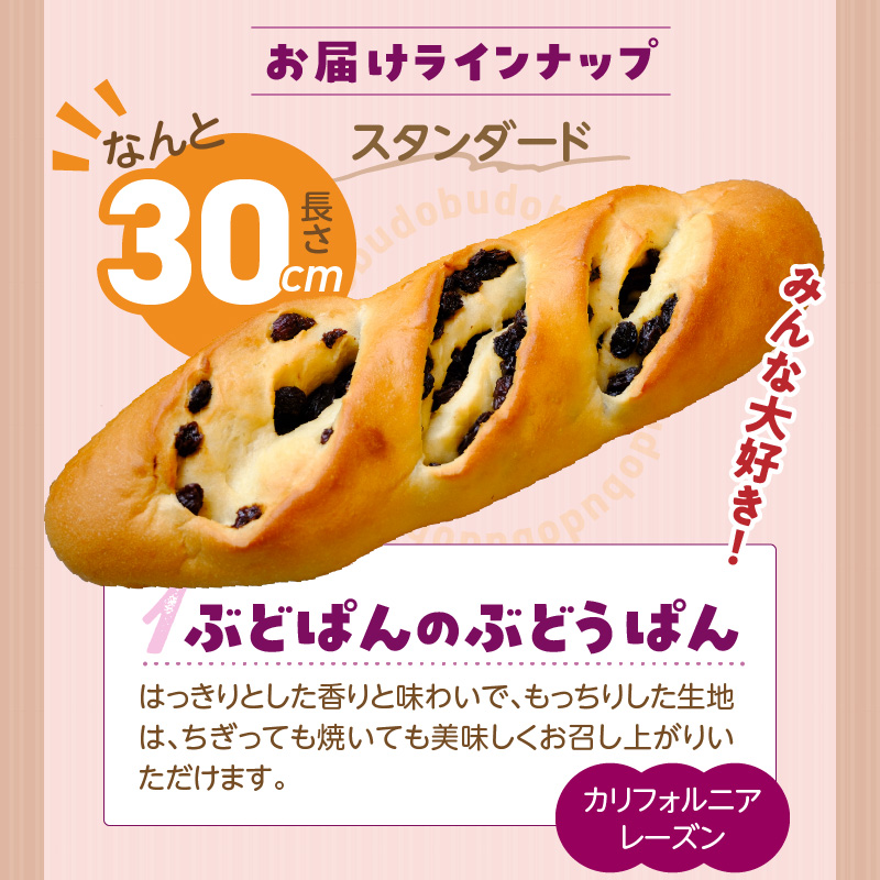 ぶどうぱん食べ比べセット（3本） _ ぶどうぱん 専門店 ぶどぱん 食べ比べ 3本 ぶどぱんのぶどうぱん サンマスカット 全粒粉のくるみとレーズン レーズンしっとり もっちり 食パン生地 トースト 冷凍保存 お取り寄せ 福岡県 久留米市 送料無料 _Cx242-03 食べ比べセット（3本）