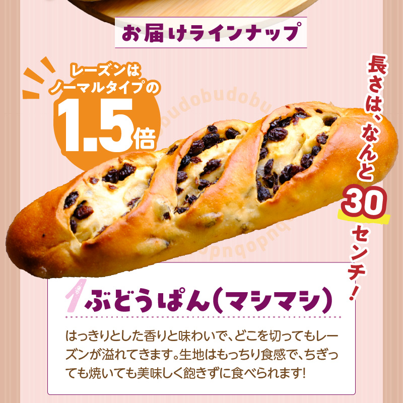 ぶどうぱんマシマシと塩ぱん　堪能セット _ ぶどうぱん 専門店 ぶどぱん 堪能 セット ぶどうぱん 1個 370g前後 塩ぱん × 2個 1個あたり70g前後 レーズン マシマシ しっとり もっちり 食パン生地 トースト 冷凍保存 朝食 昼食 ランチ お取り寄せ 福岡県 久留米市 送料無料 _Cx243