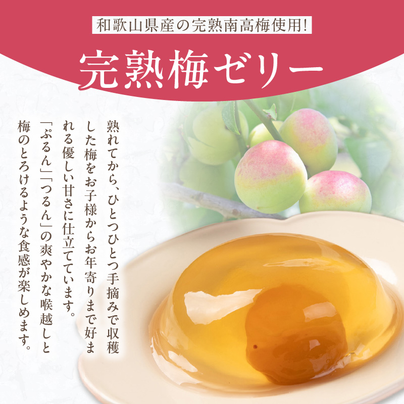 梅の花　梅ゼリー　12個入_梅ゼリー 95g × 12個 完熟 南高梅 まるごと 一粒 使用 優しい 甘さ 喉越し 爽やか とろける 食感 アレンジ シャーベット 梅酒ソーダ 梅 ゼリー おやつ デザート スイーツ フルーツゼリー 和菓子 贈答用 手土産 お取り寄せ グルメ 福岡県 久留米市 送料無料_Dw043