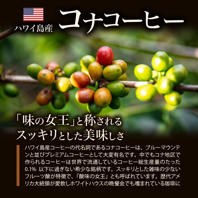 ブルーマウンテン100g＆ハワイコナコーヒー100g 定期便3ヶ月コース　粉コース_定期便 3ヶ月 コーヒー 粉 各 100g 2種 3回 計 600g ブルーマウンテン ハワイコナコーヒー 珈琲の王様 シルキーな舌触り 苦味 酸味 甘味 コク 調和がとれた味わい スッキリ 雑味の少ない フルーツ酸 特徴 酸味の女王 お取り寄せ 送料無料_Ec109-P