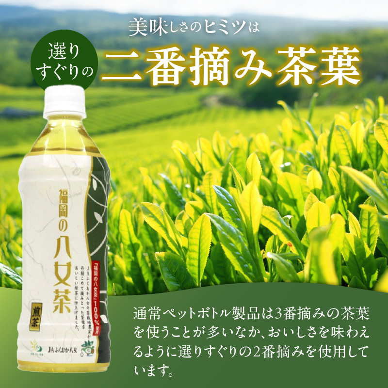 福岡の八女茶煎茶ペットボトル500ml×24本_福岡の八女茶煎茶 ペットボトル 500ml × 24本 緑茶 茶栽培農家 八女茶 甘み さっぱり 新鮮 香り 日本茶 まとめ買い 1ケース 水分補給 お茶 ソフトドリング 飲料 飲み物 備蓄 お取り寄せ 久留米市 送料無料_Ex203