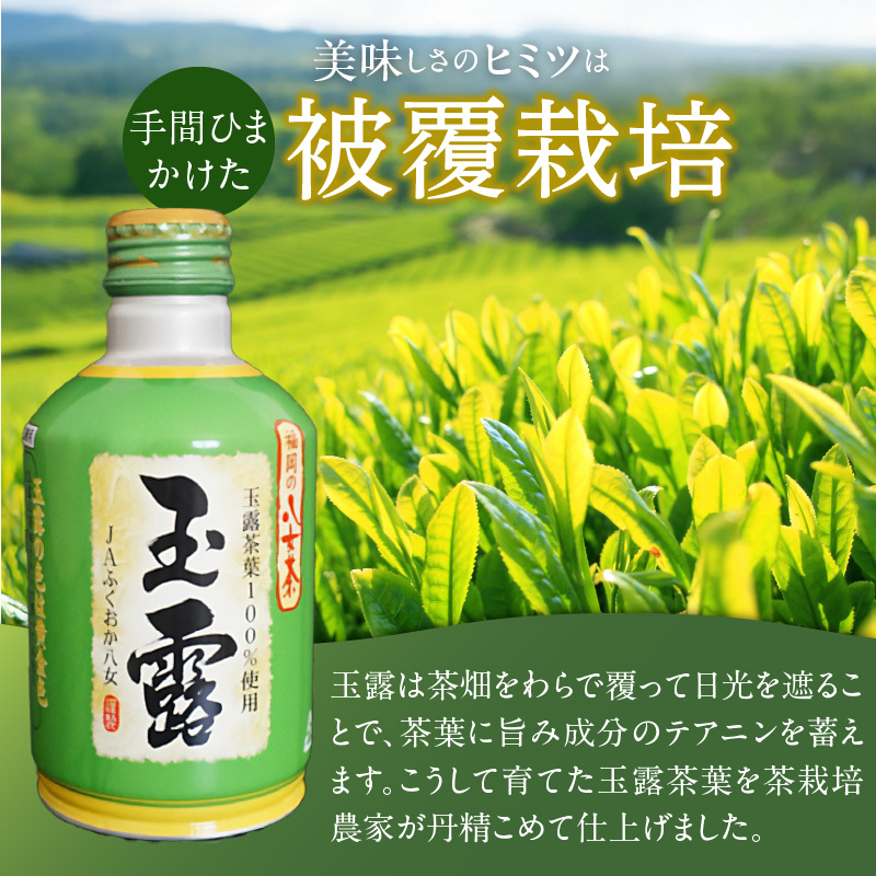 福岡の八女茶玉露ボトル缶290ml×24本_八女茶 玉露 ボトル缶 290ml × 24本 玉露茶葉100%使用 旨み 甘み アミノ酸 テアニン アルミ ボトル 缶 持ち運び 便利 手間なし 低温 抽出 黄金色 日本茶 茶 お茶 飲料 おすすめ 人気 お取り寄せ 福岡県 久留米市 送料無料_Ex204