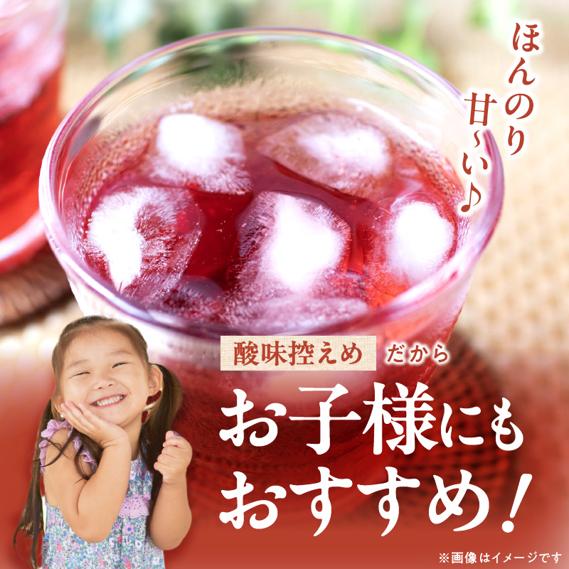 飲むブルーベリー酢　2本_お酢 ドリンク ブルーベリー 300ml 2本 飲むお酢 ブルーベリー酢 甘くて飲みやすい 希釈 3倍～5倍 果汁 アントシアニン 疲れ目予防 腸内環境改善 簡単 アレンジ 牛乳 炭酸 お酒 瓶 果実酒 お酢飲料 飲料 飲み物 健康 福岡県 久留米市 お取り寄せ 送料無料_Ex218