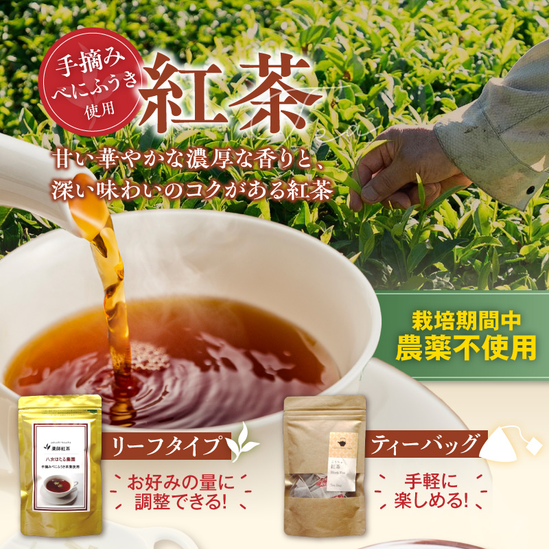 紅茶3種セット _ 紅茶 リーフタイプ 1袋 ティーバッグ レモングラス ブレンド 各10パック 3種 セット 国産 栽培期間中 農薬不使用 こだわり 栽培 ベニフウキ 茶葉 手摘み 手軽さ 美味しさ カップ 水筒 急須 お家 オフィス 八女茶 お取り寄せ 福岡県 久留米市 送料無料 _Ex232