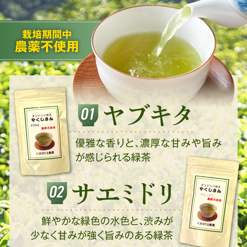 緑茶3種飲み比べセット _ 緑茶 飲み比べ 3種 ヤブキタ サエミドリ 各70g ベニフウキ 80g 各1袋 セット 国産 栽培期間中 農薬不使用 こだわり 栽培 茶葉 手軽さ 美味しさ カップ 水筒 淹れ方 水出し 急須 お家 オフィス 八女茶 お茶 お取り寄せ 福岡県 久留米市 送料無料 _Ex233
