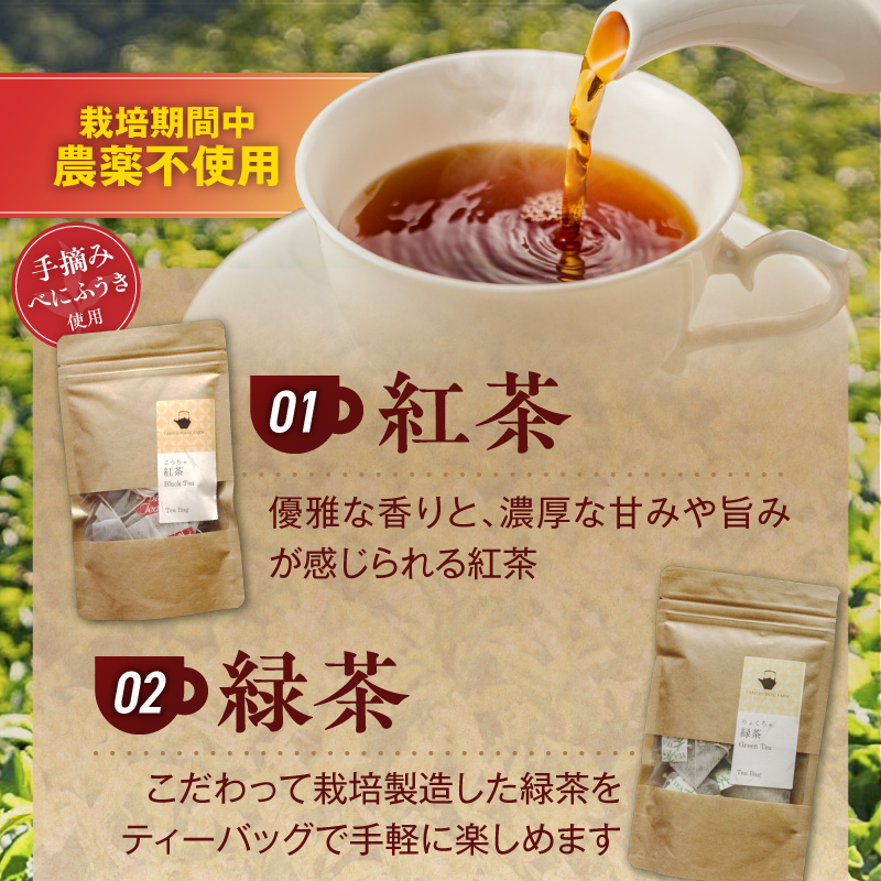 三色のお茶飲み比べ　ティーバッグ _ 三色 お茶 飲み比べ ティーバッグ ブラックティー紅茶 グリーンティー緑茶 レッドティーハイビスカスローゼルティー 各 10パック 国産 栽培期間中 農薬不使用 こだわり 栽培 茶葉 淹れ方 水出し 急須 オフィス お取り寄せ 福岡県 久留米市 送料無料 _Ex234