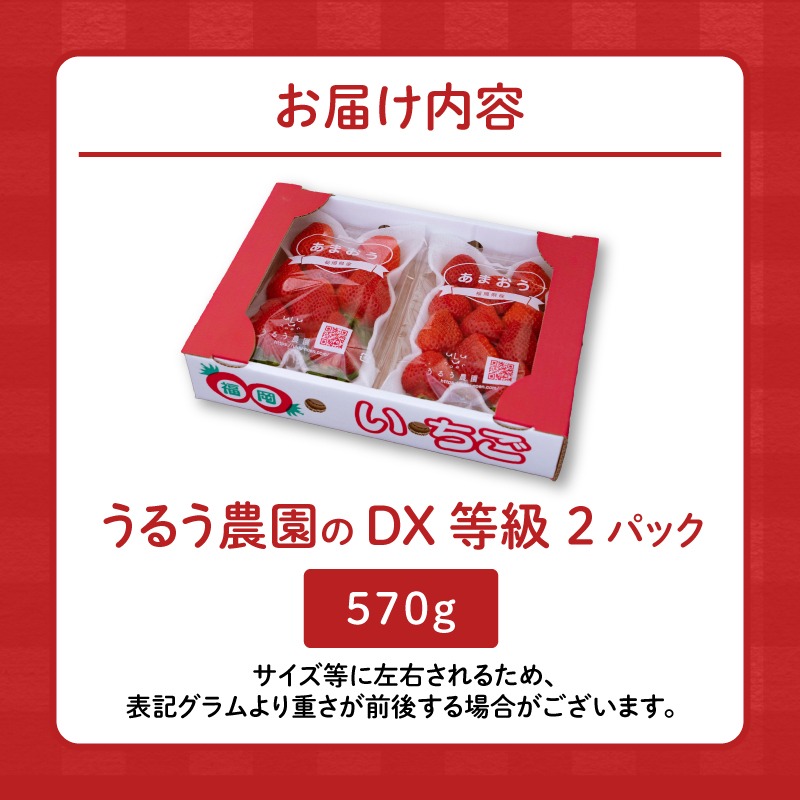 うるう農園のあまおうDX等級 2パック（570g）_いちご あまおう DX等級 2パック 570g 減農薬 有機質肥料 特別栽培 認定農家 うるう農園 福岡県 久留米市 採れたて 農家直送 フルーツ 果物 冷蔵 5年 研究開発 いちごジャム スイーツ お取り寄せ お取り寄せグルメ 送料無料_Fi007