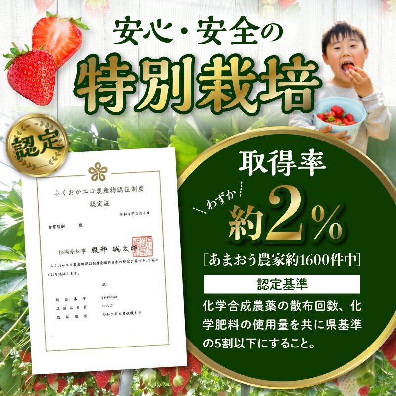 うるう農園のあまおうサイズ色々 4パック（1140g）_サイズ色々 特別栽培認証 あまおう 苺 4パック 計 1140g うるう農園 安心 安全 Mサイズ 特大 グランデサイズ 福岡限定 ブランド苺 フルーツ 果物 ジャム ムース スイーツ 採れたて 農家直送 クール便 国産 お取り寄せ 福岡県 久留米市 送料無料_Fi009