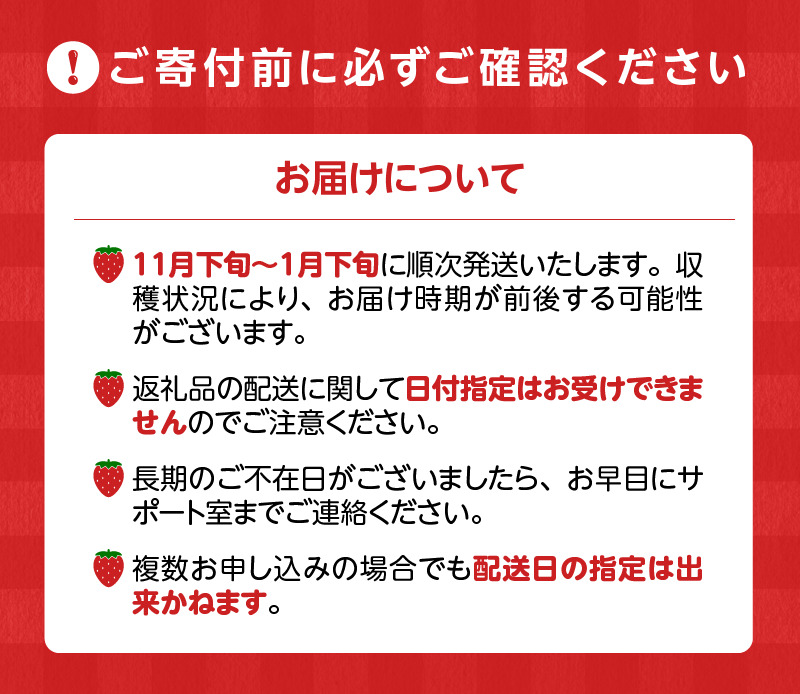 福岡産【冬】あまおう2パック_冬くるめ あまおう 250g × 2パック 合計 500g 冷蔵 濃厚 甘い 大粒 果汁 アフター保証 安心安全 国産 いちご 果物 アレンジ おやつ フルーツ スイーツ スムージー ジャム 南国フルーツ お取り寄せ 福岡県 久留米市 送料無料 福岡限定_Fi010