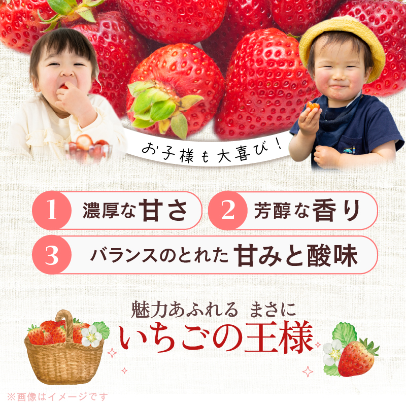福岡産【春】あまおう4パック_春くるめ あまおう 250g × 4パック 合計 1kg シール付き 冷蔵 濃厚 甘い 果汁 アフター保証 安心安全 国産 いちご 果物 アレンジ おやつ フルーツ スイーツ スムージー ジャム 南国フルーツ お取り寄せ 福岡県 久留米市 送料無料_Fi012